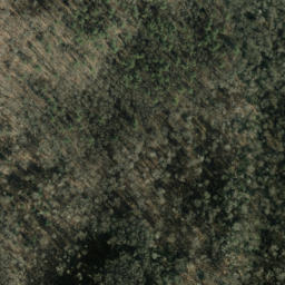 Satellite imagery of Nellie Ridge, US
