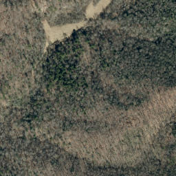 Satellite imagery of Big Ridge, US