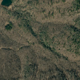 Satellite imagery of Bee Ridge, US
