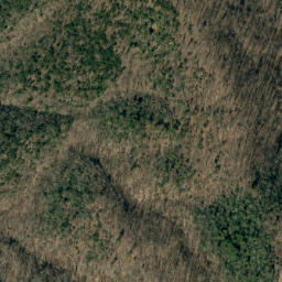 Satellite imagery of Bee Ridge, US