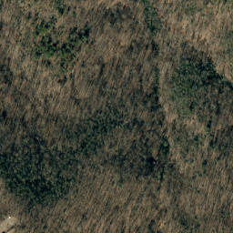Satellite imagery of Bee Ridge, US
