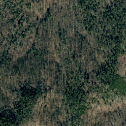 Satellite imagery of Horse Ridge, US