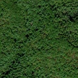 Satellite imagery of Arbutus Ridge, US
