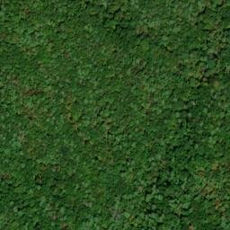 Satellite imagery of Leading Ridge, US