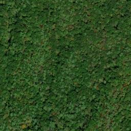 Satellite imagery of Leading Ridge, US