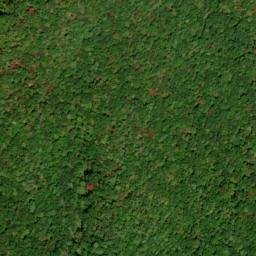 Satellite imagery of Pinkroot Ridge, US