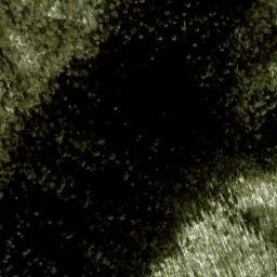 Satellite imagery of Enloe Ridge, US