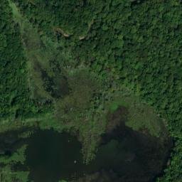 Satellite imagery of Bumpers Bluff, US