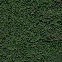 Satellite imagery of Martins Point, US