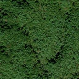 Satellite imagery of Arbutus Ridge, US