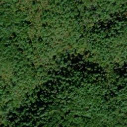 Satellite imagery of Arbutus Ridge, US