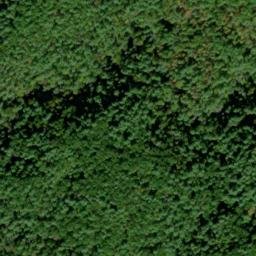 Satellite imagery of Arbutus Ridge, US