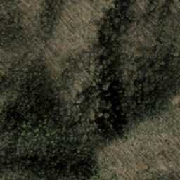Satellite imagery of Den Ridge, US