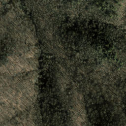Satellite imagery of Den Ridge, US