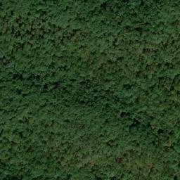 Satellite imagery of Wilson Branch - Cade Branch Prospect, US