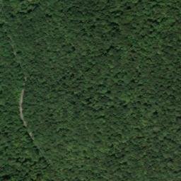 Satellite imagery of Martins Point, US