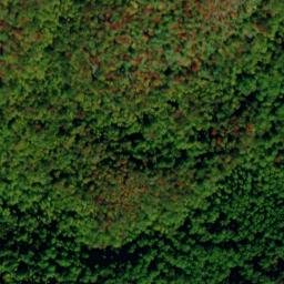 Satellite imagery of Log Ridge, US