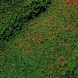 Satellite imagery of Log Ridge, US