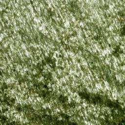 Satellite imagery of Enloe Ridge, US