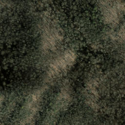 Satellite imagery of Snake Ridge, US