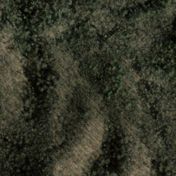 Satellite imagery of Snake Ridge, US
