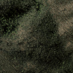 Satellite imagery of Den Ridge, US