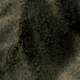 Satellite imagery of Den Ridge, US