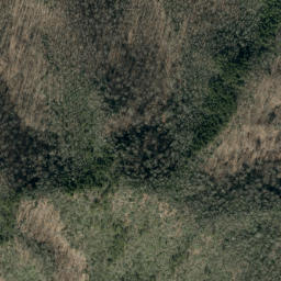 Satellite imagery of Chestnut Ridge, US