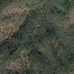 Satellite imagery of Chestnut Ridge, US