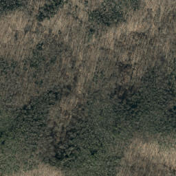 Satellite imagery of Chestnut Ridge, US