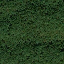 Satellite imagery of Wilson Branch - Cade Branch Prospect, US
