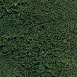 Satellite imagery of Martins Point, US