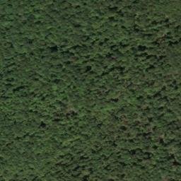 Satellite imagery of Martins Point, US