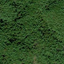Satellite imagery of Elijah Oliver Place, US