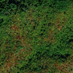 Satellite imagery of Log Ridge, US