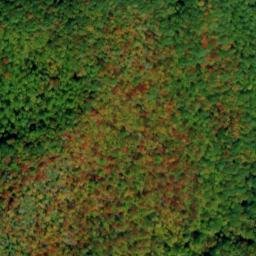 Satellite imagery of Log Ridge, US