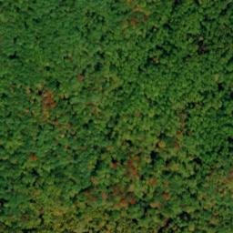 Satellite imagery of Log Ridge, US