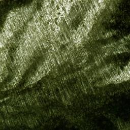 Satellite imagery of Ace Enloe Ridge, US