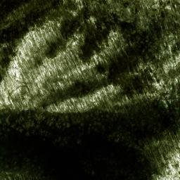 Satellite imagery of Ace Enloe Ridge, US