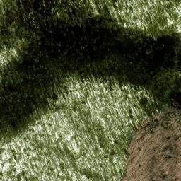 Satellite imagery of Ace Enloe Ridge, US