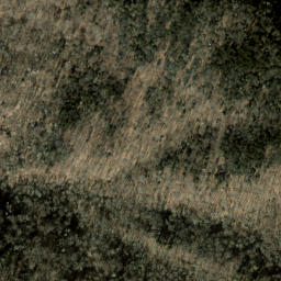 Satellite imagery of Chiltoskie Ridge, US