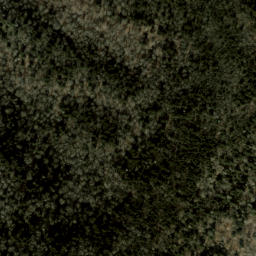 Satellite imagery of Chiltoskie Ridge, US