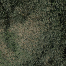 Satellite imagery of Rabbit Ridge, US