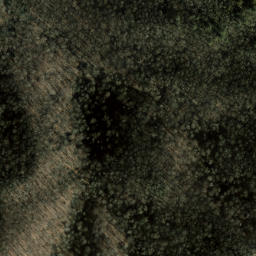 Satellite imagery of Den Ridge, US