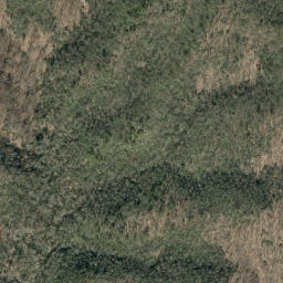 Satellite imagery of Chestnut Ridge, US