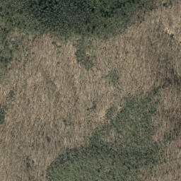 Satellite imagery of Chestnut Ridge, US