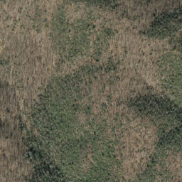 Satellite imagery of Chestnut Ridge, US