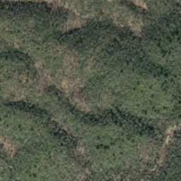 Satellite imagery of Allison Ridge, US