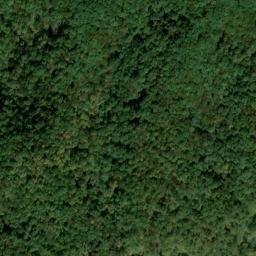 Satellite imagery of Low Gap Branch Prospect Number One, US