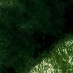 Satellite imagery of Morton Bluff, US